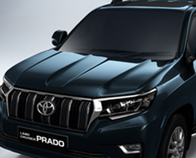 Prado Features