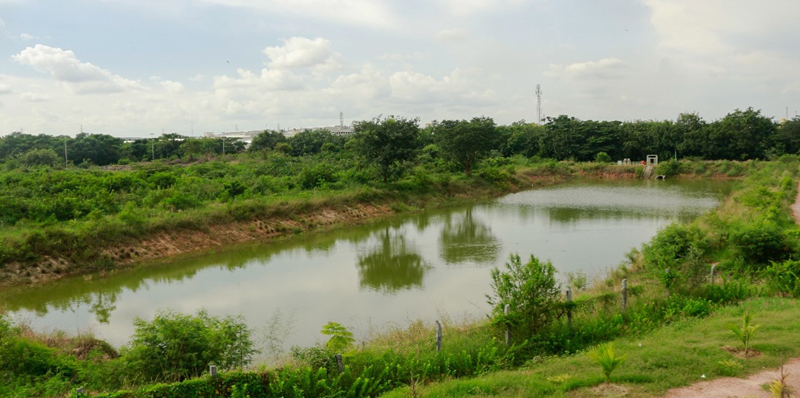 Toyota Kirloskar Motor Reaffirms its Commitment to Environmental Sustainability on ‘Earth Day’