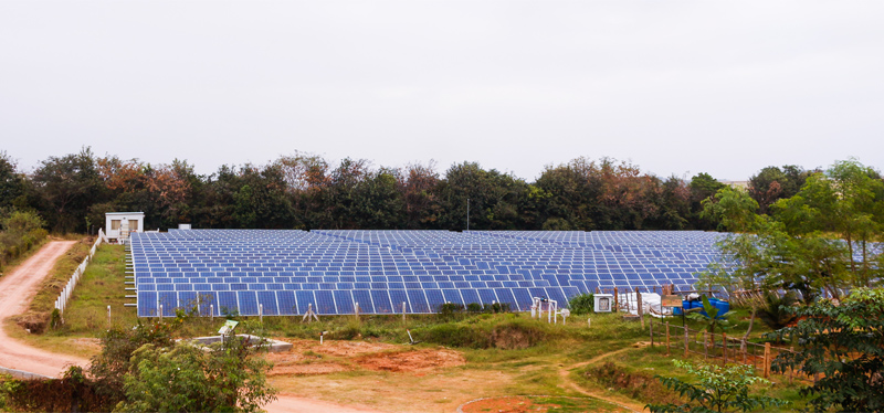 Toyota Kirloskar Motor Reiterates its Commitment to Sustainability, Marking the World Environment Health Day 2025